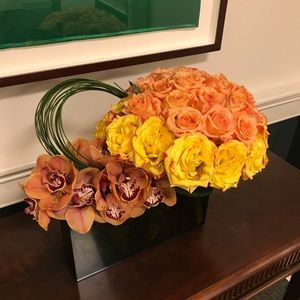 Meet your Posher, Katy